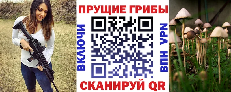 Псилоцибиновые грибы MAGIC MUSHROOMS  Руза 